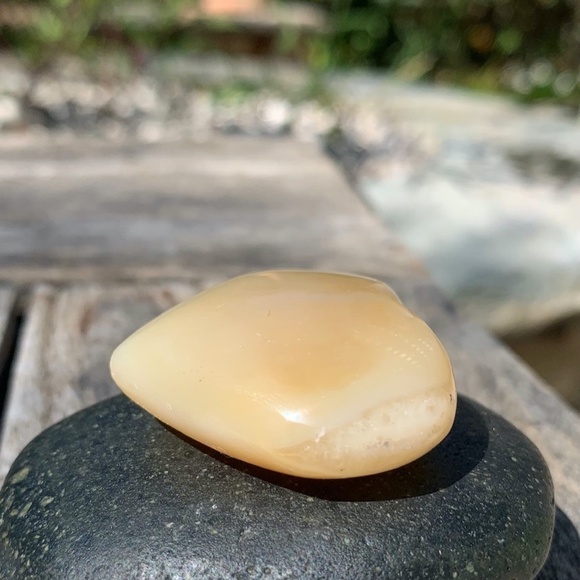 Dendritic Plant Agate Polished Puffy Heart Crystals Chakras Healing Worry Stone - Picture 5 of 8